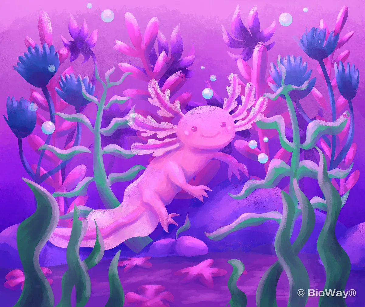 Pintura del ajolote de BioWay entre flores acuáticas
