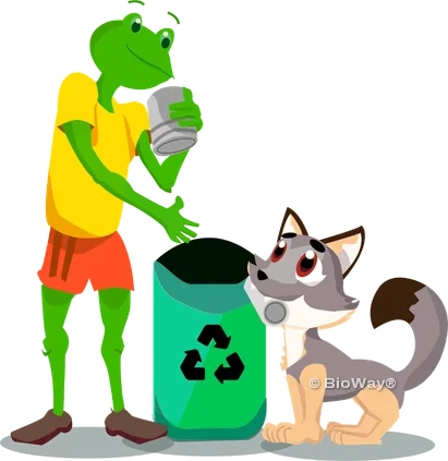 La rana y el zorro de BioWay reciclando una lata